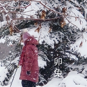 Jan 29 2023 -2C Lovely Winter - Snowing on Sunday morning Thornhill Iris Chong