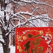 Jan 29 2023 -2C Snowing - Chinese New Year of Rabbit - Thornhill Iris Chong