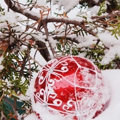 Jan 29 2023 -2C Lovely Winter - Snowing on Sunday morning Thornhill Iris Chong