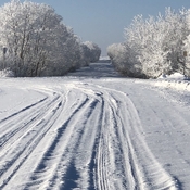 Frosty lane