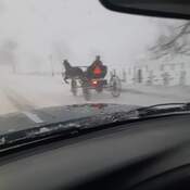 Horse and Buggy Snow Travel