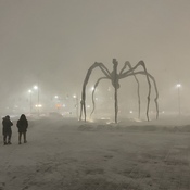 Maman in snow squall