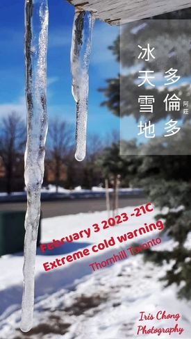 Feb 3 2023 -21C Icles - Frigid temperature - Extreme cold warning - Iris Chong Thornhill, ON