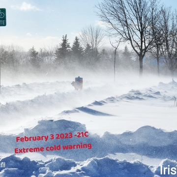 Feb 3 2023 -21C Squall - Frigid temperature - Extreme cold warning Iris Chong