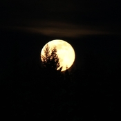 Beautiful moonrise tonight