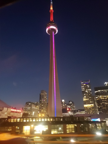 Beautiful night in T.O Toronto, ON