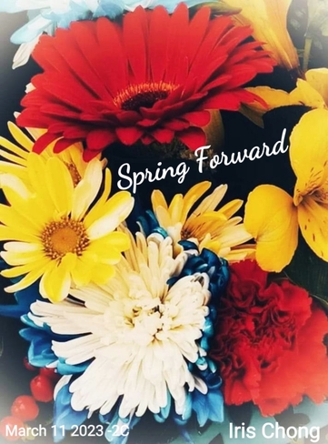 March 11 2023 -2C Spring Forward - Daylight Saving -Thornhill Toronto Iris Chong Thornhill, ON