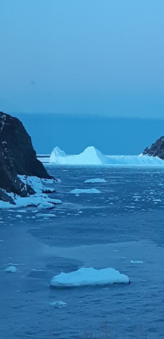 icebergs Twillingate, NL