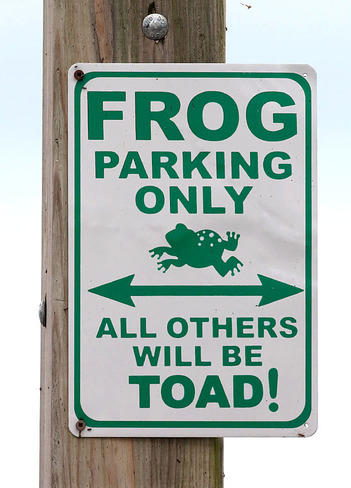 Happy World Frog Day - March 20 Ontario