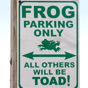 Happy World Frog Day - March 20