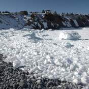 Outer Cove Ice Beach