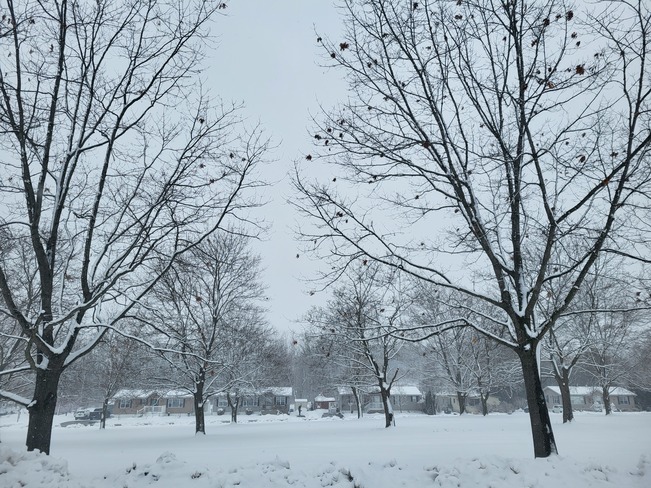 winter Cambridge, ON