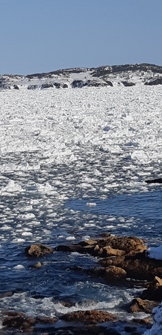 iceberg&packed ice in twillingate Twillingate, NL