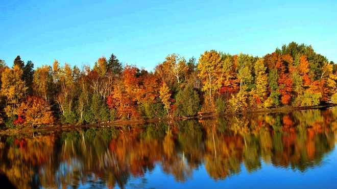 Fall Colours in New Brunswick Canada Baie du Vin, New Brunswick