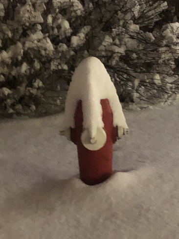 Hydrant Snow Hat Surrey, British Columbia, CA
