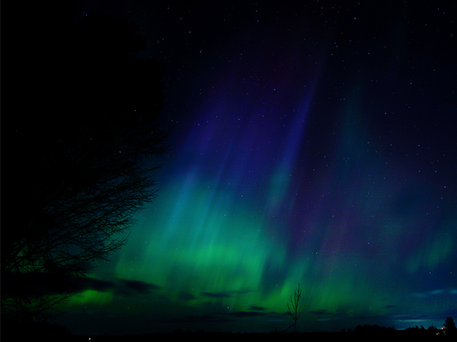 CENTRAL ONTARIO NORTHERN LIGHTS Edenvale, Minesing, ON