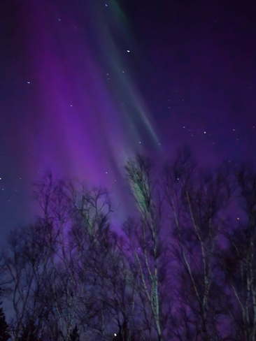 purple aurora Winnipeg, MB