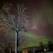 Northern Lights March 23rd 2023