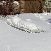 Interesting snow melt in my back yard!