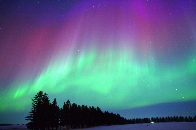 Aurora display Muenster, Saskatchewan | S0K 2Y0