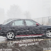March 29 2023 3:11pm Spring snow! Thornhill Toronto Iris Chong