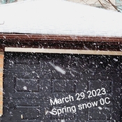 March 29 2023 Spring snow! Thornhill Toronto Iris Chong