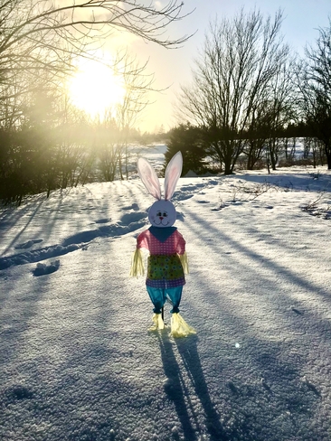 Did someone see the Easter Bunny ? Cape Breton, Nova Scotia, CA