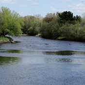 Une rivière à Upton.