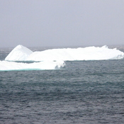 Icebergs off Outer Cove, NL
