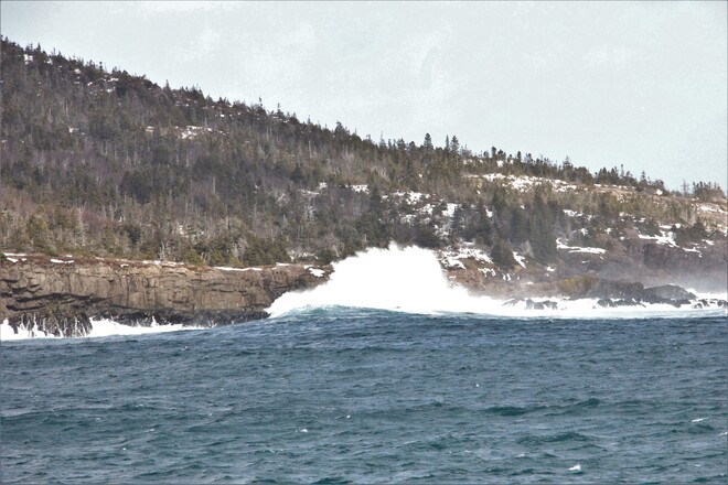 Wave action Petty Harbour-Maddox Cove, NL