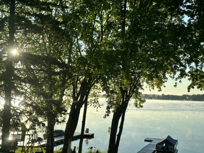 Love a steamy sunrise Lake Dalrymple, Ontario, CA