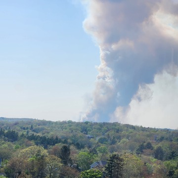 Halifax forest fire