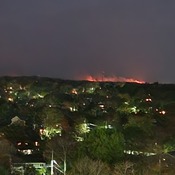 Halifax foresg fire