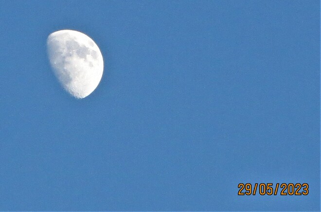 il y avait la Lune Chambord, QC