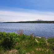 Wildfires in Shelburne County