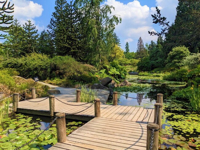 Beautiful VanDusen Garden Vancouver, BC