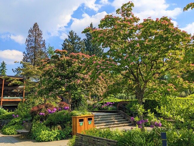 Beautiful garden Vancouver, BC