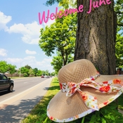 June 1 2023 31C Welcome June! Heat warning early Summer! Thornhill Iris Chong