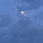 Moon last night