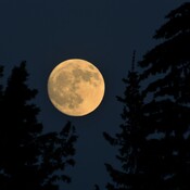 Beautiful Moon Tonight