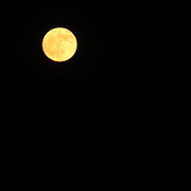 Moon Shot.