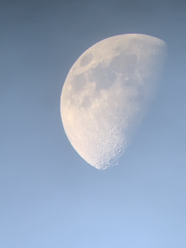Our beautiful Moon Mimico, Ontario, CA