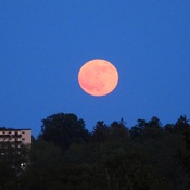 Spectacular Strawberry Moon