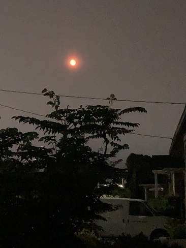Orange Moon Whitby, Ontario, CA