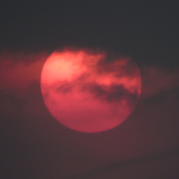 Took a nice picture of the sun tonight