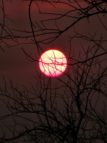 Red Sun Setting Cupar, SK