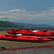 Les kayaks de mer.