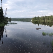 Débarcadère Lac Jalbert mont valin Saguenay