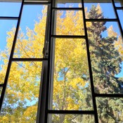 Autumn outside the window