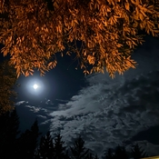 Fall moon